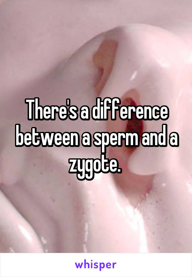 There's a difference between a sperm and a zygote. 