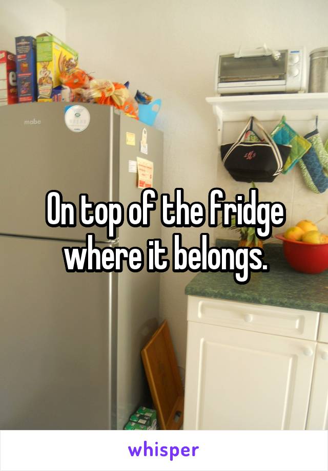 On top of the fridge where it belongs.