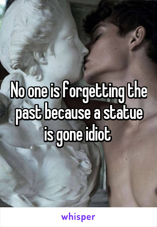 No one is forgetting the past because a statue is gone idiot 