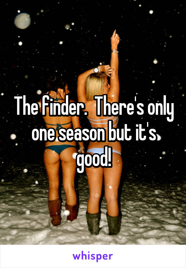 The finder.  There's only one season but it's good!