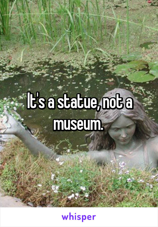 It's a statue, not a museum. 