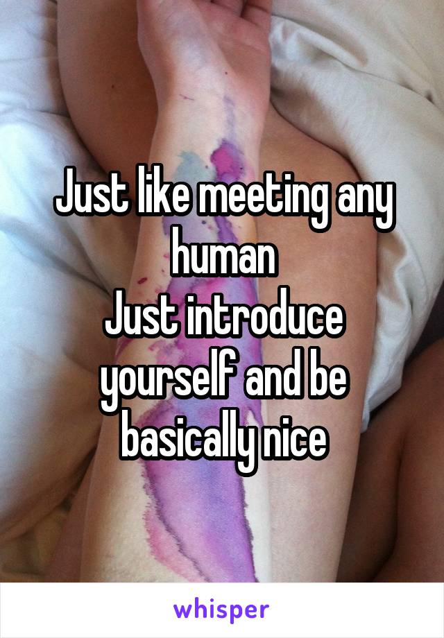 Just like meeting any human
Just introduce yourself and be basically nice