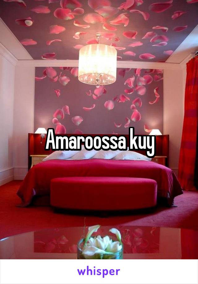 Amaroossa kuy