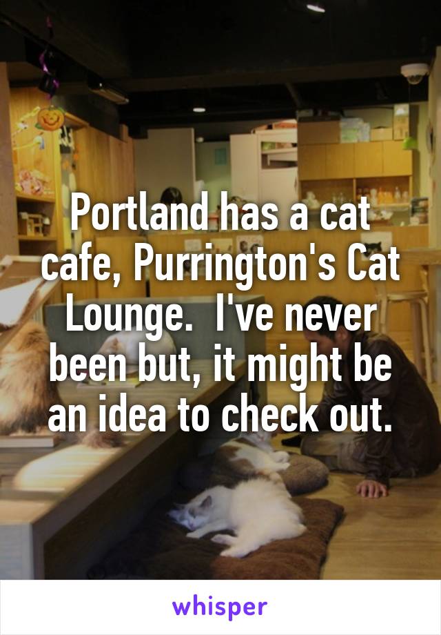Portland has a cat cafe, Purrington's Cat Lounge.  I've never been but, it might be an idea to check out.