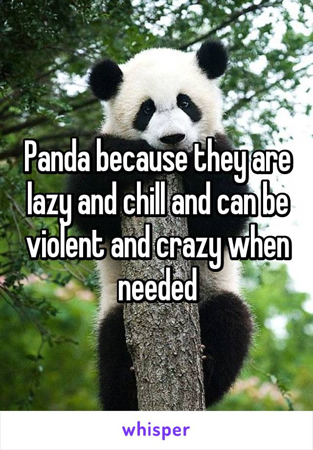 Panda because they are lazy and chill and can be violent and crazy when needed