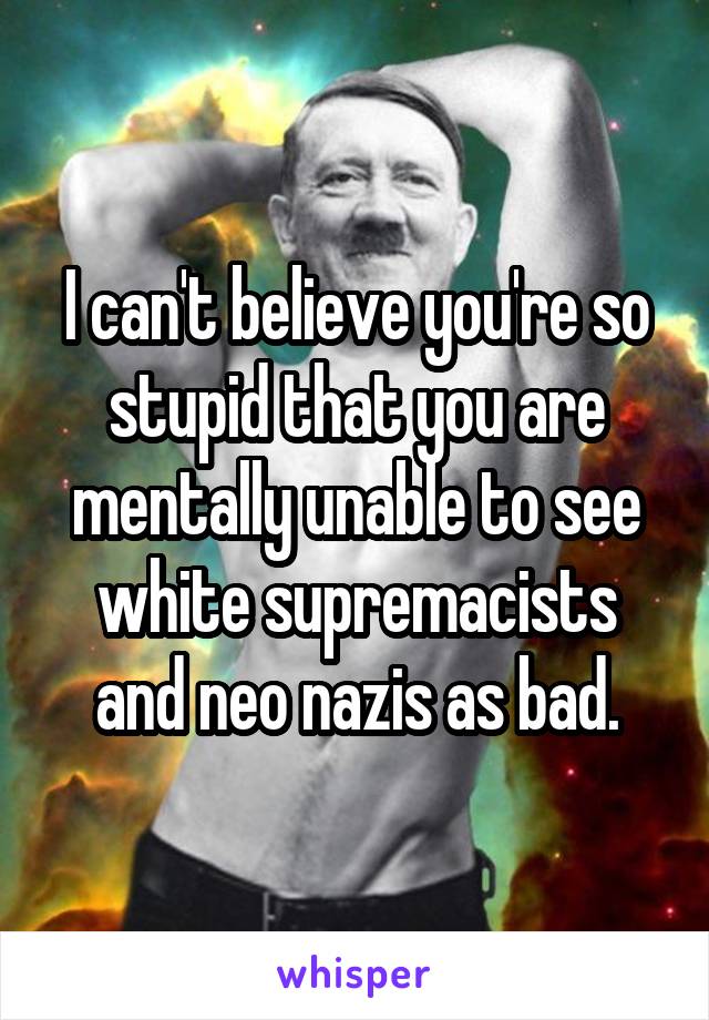 I can't believe you're so stupid that you are mentally unable to see white supremacists and neo nazis as bad.