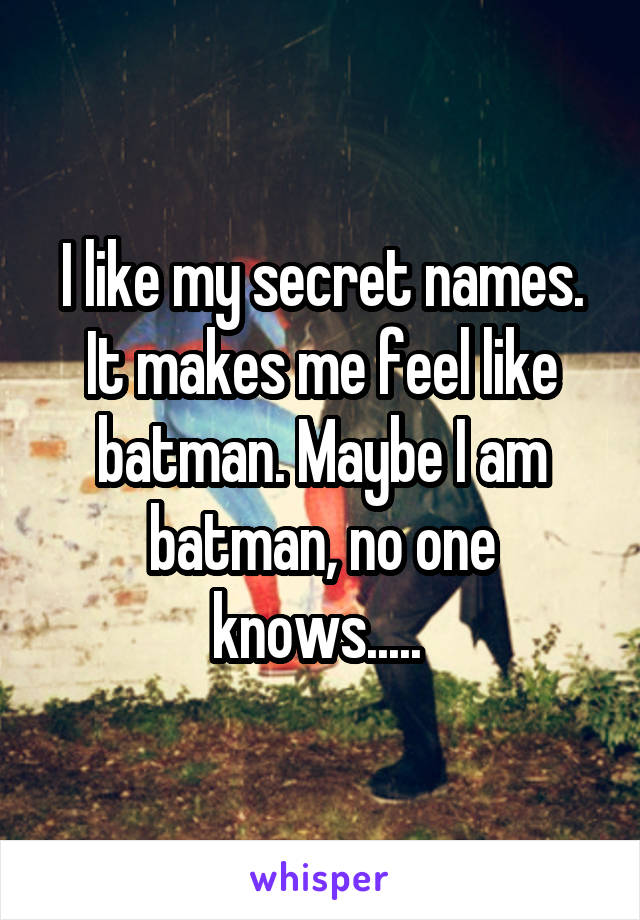 I like my secret names. It makes me feel like batman. Maybe I am batman, no one knows..... 