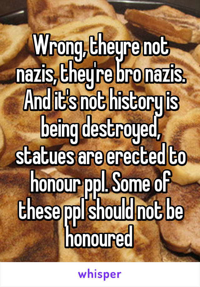 Wrong, theyre not nazis, they're bro nazis. And it's not history is being destroyed, statues are erected to honour ppl. Some of these ppl should not be honoured 