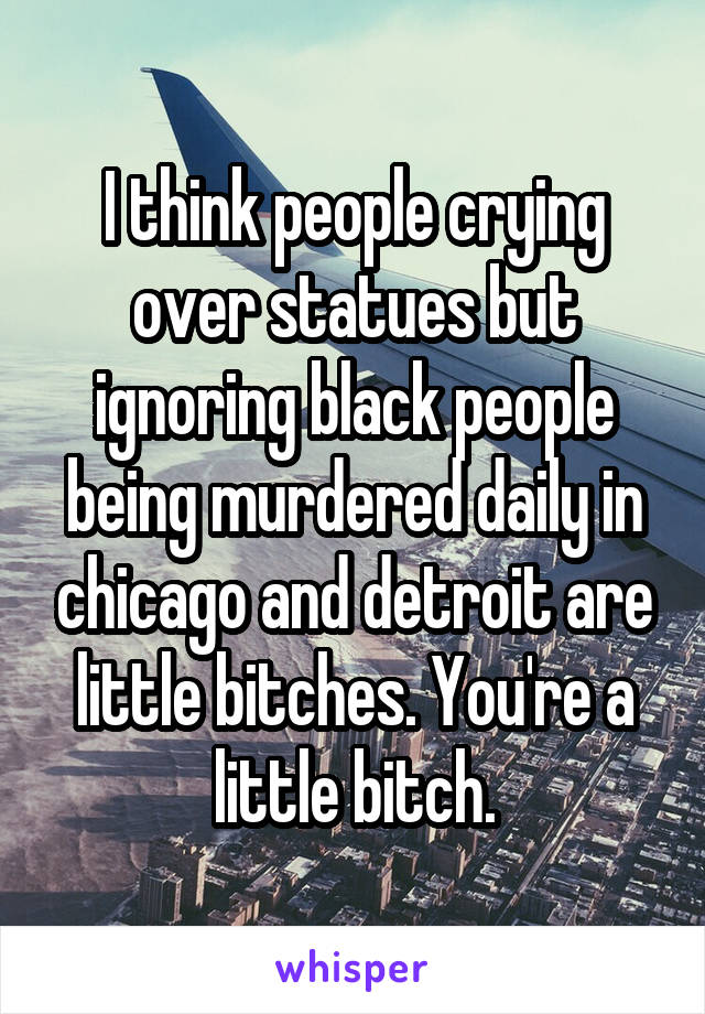 I think people crying over statues but ignoring black people being murdered daily in chicago and detroit are little bitches. You're a little bitch.