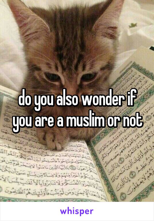 do you also wonder if you are a muslim or not