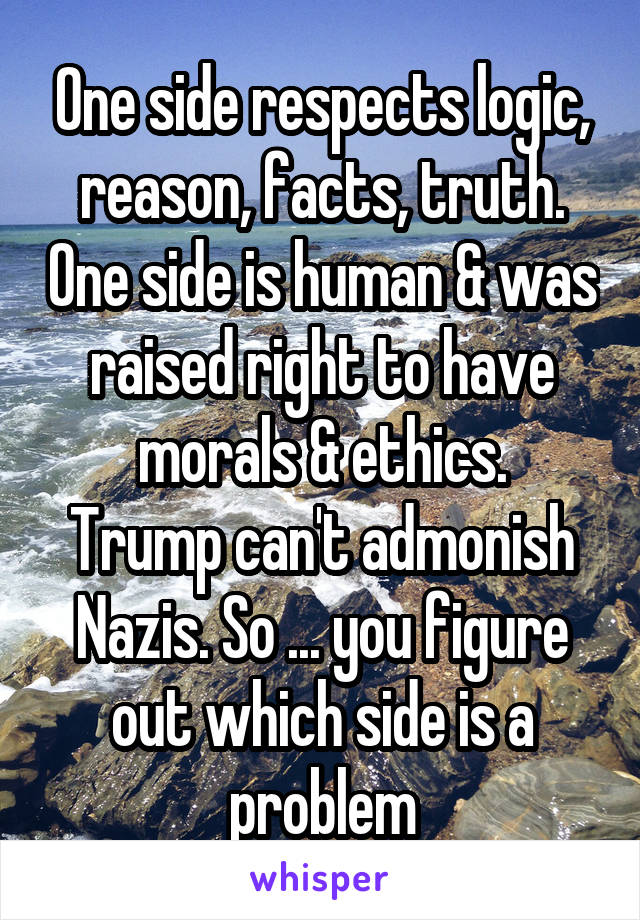 One side respects logic, reason, facts, truth. One side is human & was raised right to have morals & ethics.
Trump can't admonish Nazis. So ... you figure out which side is a problem