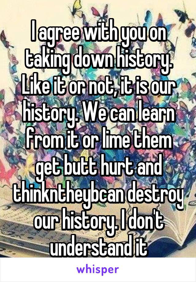I agree with you on taking down history. Like it or not, it is our history. We can learn from it or lime them get butt hurt and thinkntheybcan destroy our history. I don't understand it