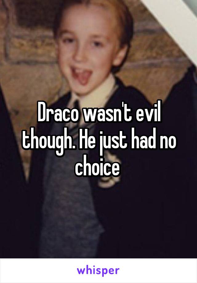 Draco wasn't evil though. He just had no choice 