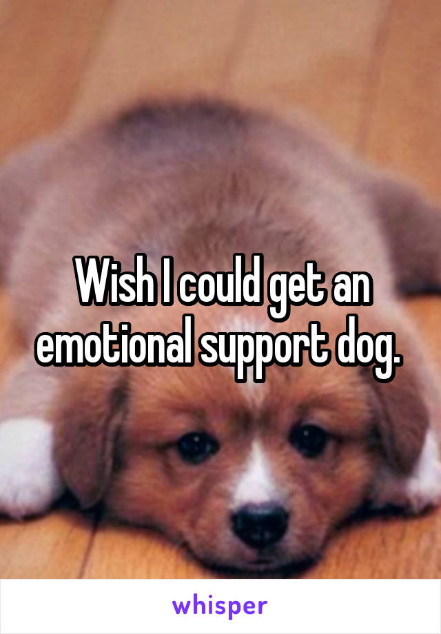 Wish I could get an emotional support dog. 