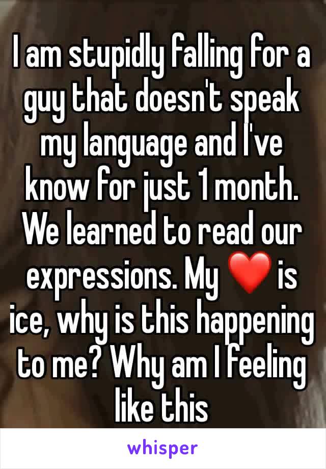 I am stupidly falling for a guy that doesn't speak my language and I've know for just 1 month. We learned to read our expressions. My ❤️ is ice, why is this happening to me? Why am I feeling like this