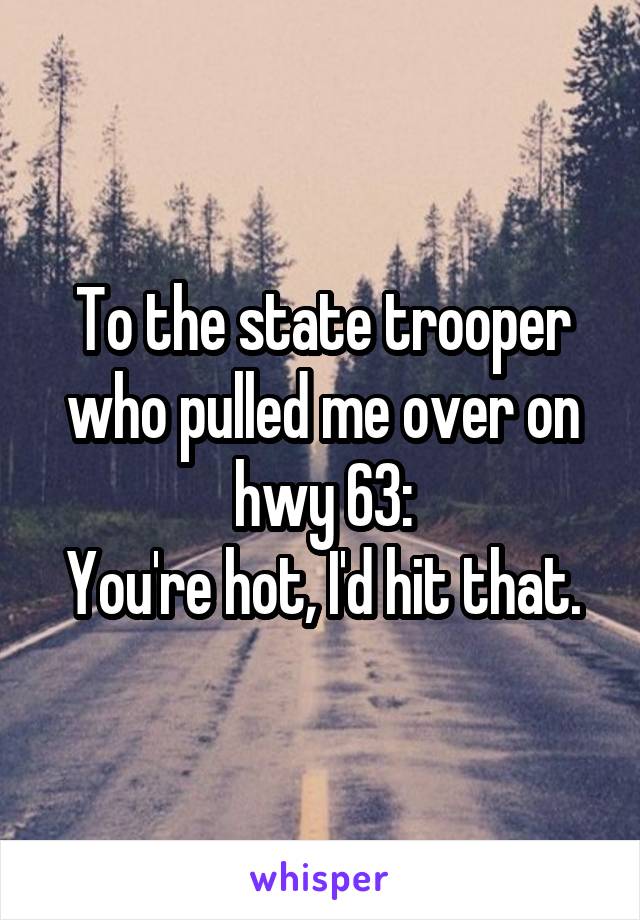 To the state trooper who pulled me over on hwy 63:
You're hot, I'd hit that.