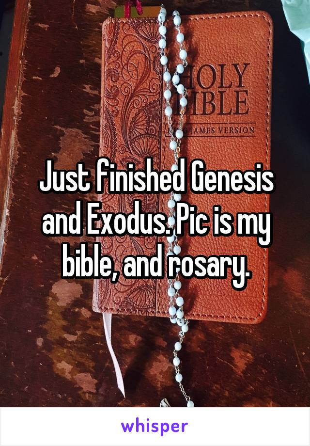 Just finished Genesis and Exodus. Pic is my bible, and rosary.