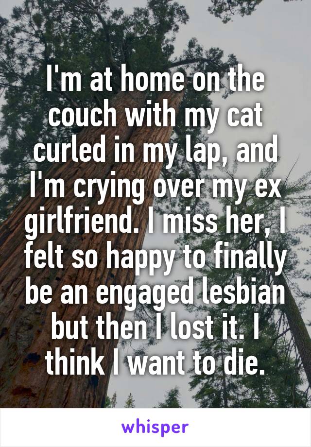 I'm at home on the couch with my cat curled in my lap, and I'm crying over my ex girlfriend. I miss her, I felt so happy to finally be an engaged lesbian but then I lost it. I think I want to die.