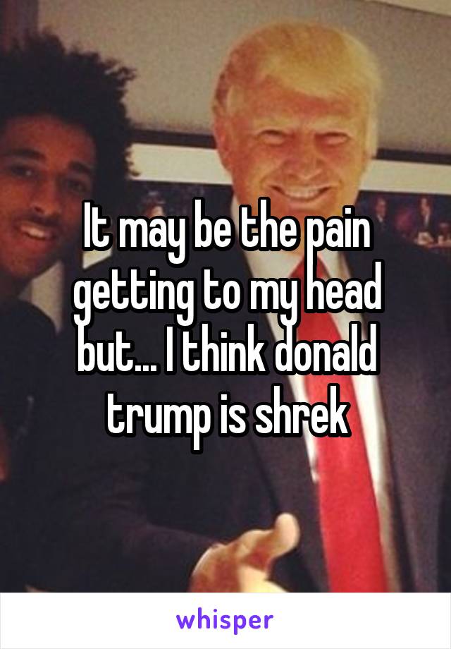 It may be the pain getting to my head but... I think donald trump is shrek