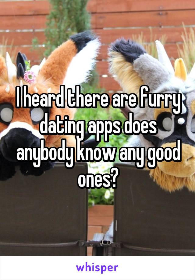I heard there are furry dating apps does anybody know any good ones?