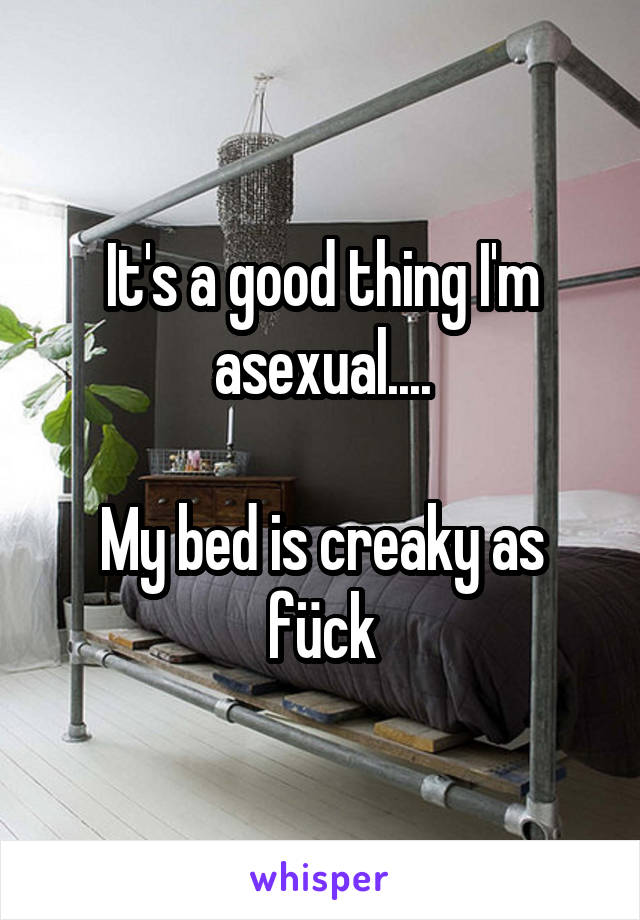 It's a good thing I'm asexual....

My bed is creaky as fück