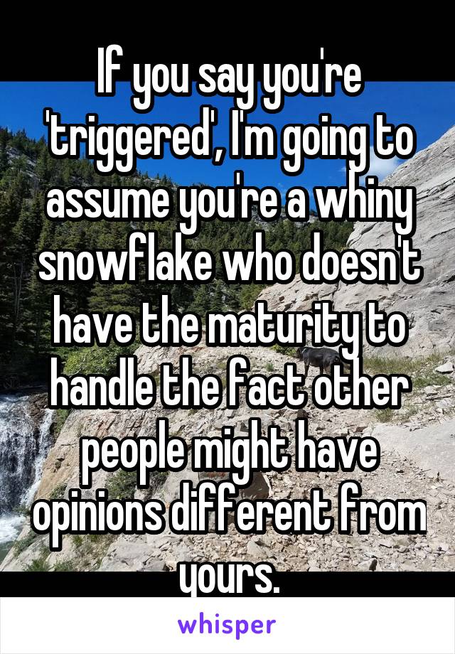 If you say you're 'triggered', I'm going to assume you're a whiny snowflake who doesn't have the maturity to handle the fact other people might have opinions different from yours.