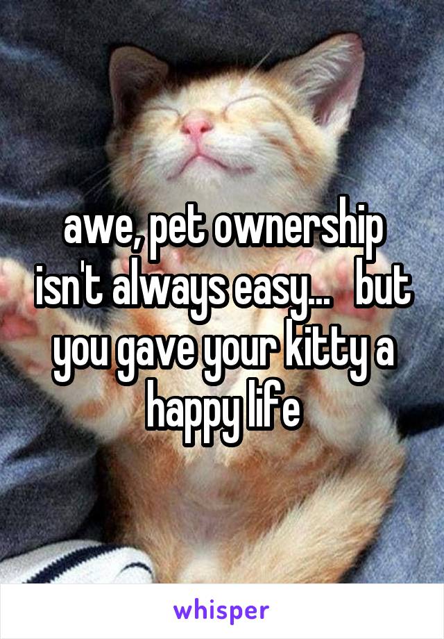 awe, pet ownership isn't always easy...   but you gave your kitty a happy life