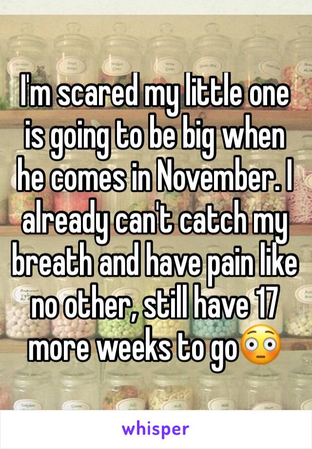 I'm scared my little one is going to be big when he comes in November. I already can't catch my breath and have pain like no other, still have 17 more weeks to go😳