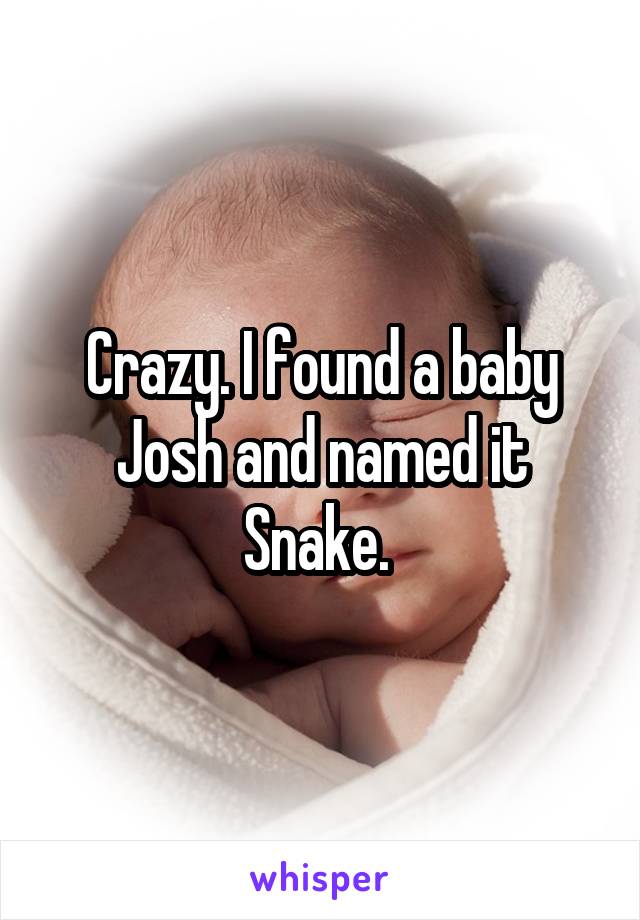 Crazy. I found a baby Josh and named it Snake. 