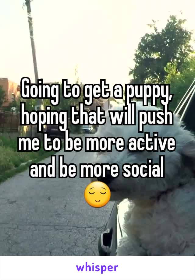 Going to get a puppy, hoping that will push me to be more active and be more social
😌