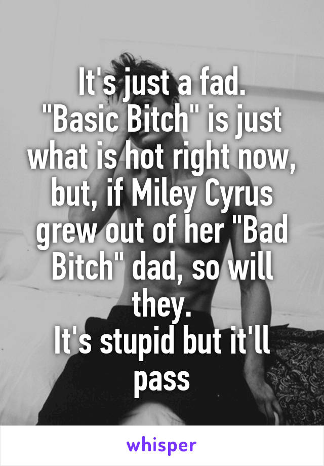 It's just a fad.
"Basic Bitch" is just what is hot right now, but, if Miley Cyrus grew out of her "Bad Bitch" dad, so will they.
It's stupid but it'll pass