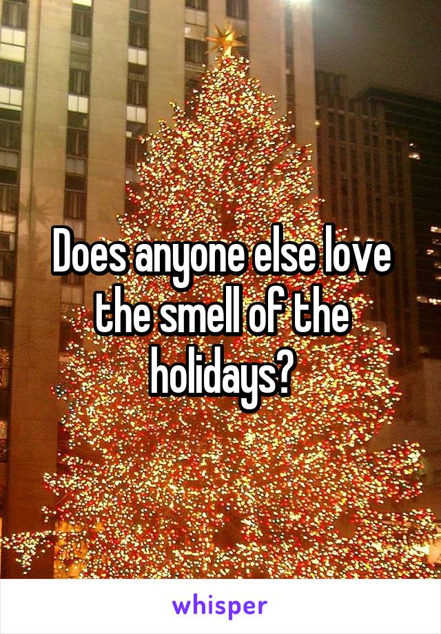 Does anyone else love the smell of the holidays?