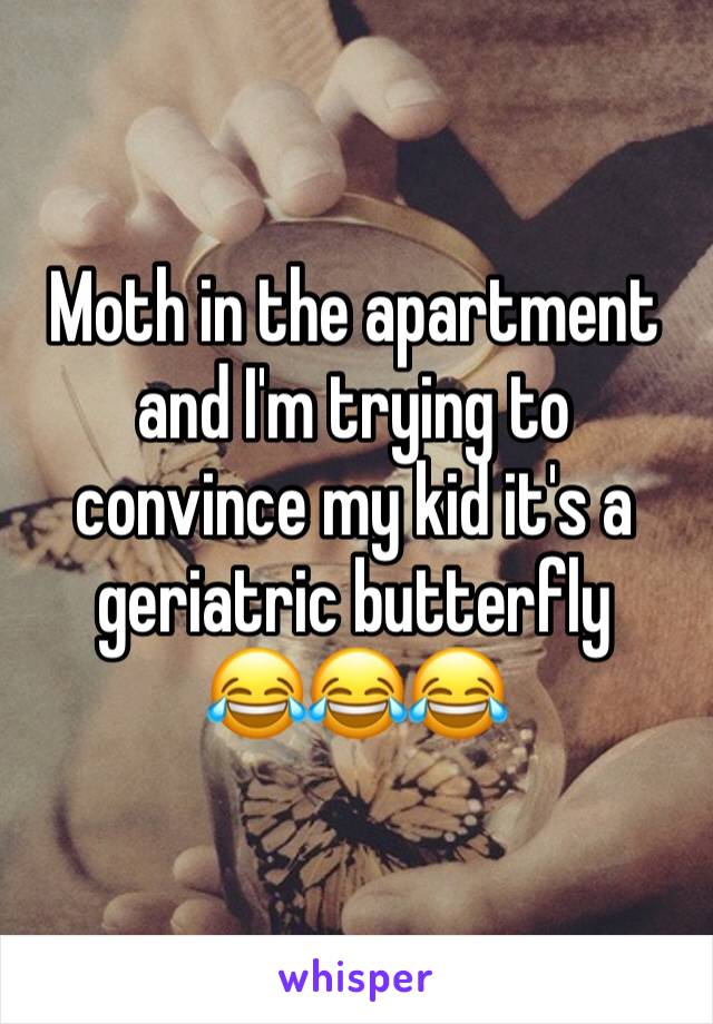 Moth in the apartment and I'm trying to convince my kid it's a geriatric butterfly 
😂😂😂