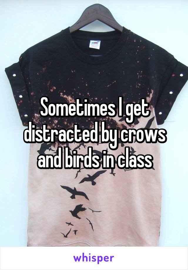 Sometimes I get distracted by crows and birds in class