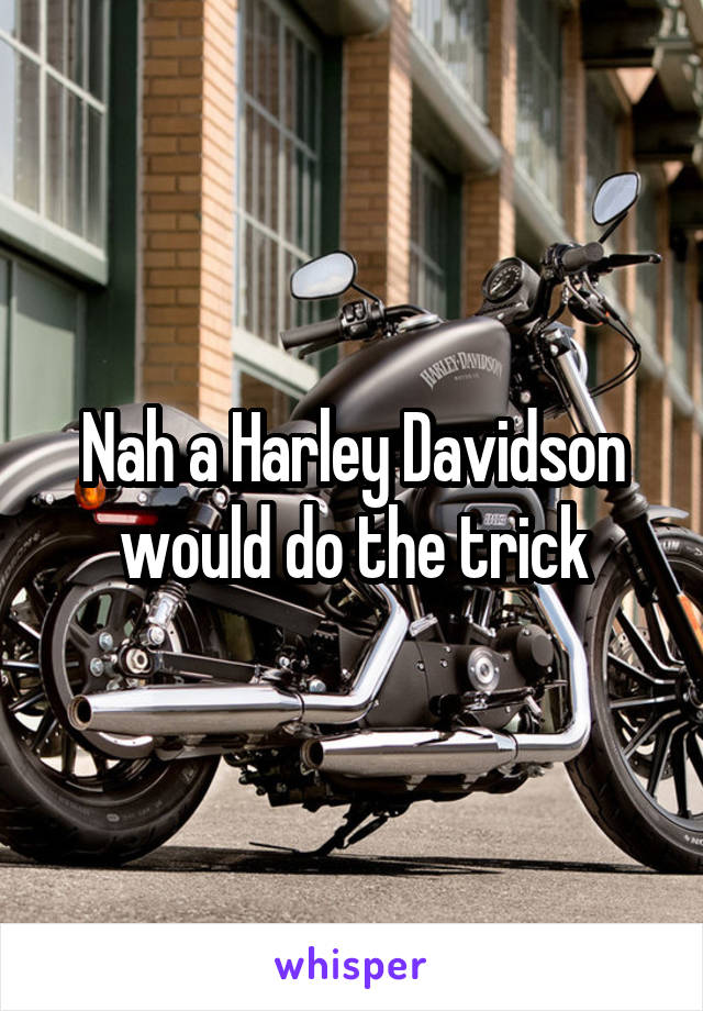 Nah a Harley Davidson would do the trick