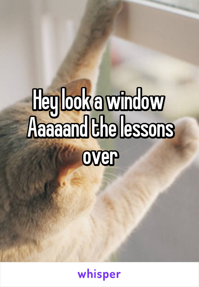 Hey look a window 
Aaaaand the lessons over
