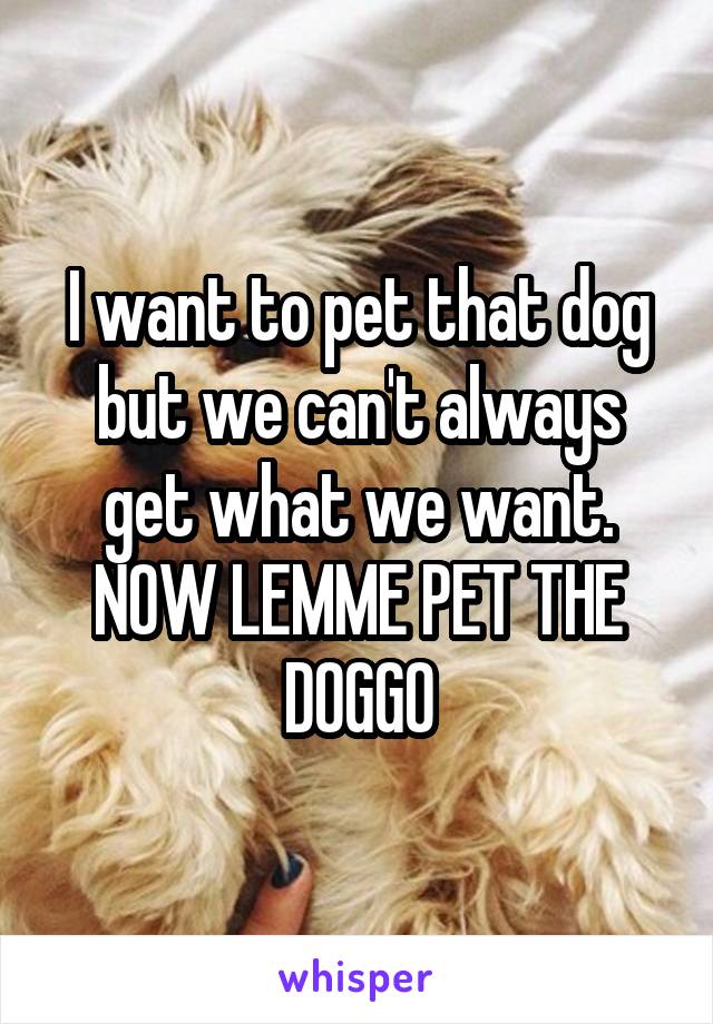 I want to pet that dog but we can't always get what we want. NOW LEMME PET THE DOGGO