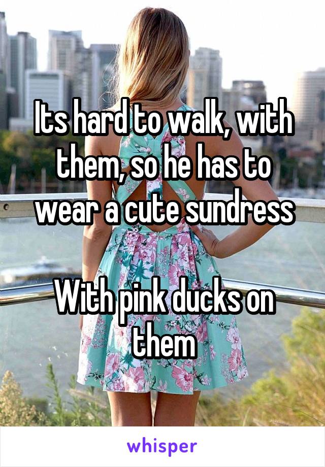 Its hard to walk, with them, so he has to wear a cute sundress

With pink ducks on them