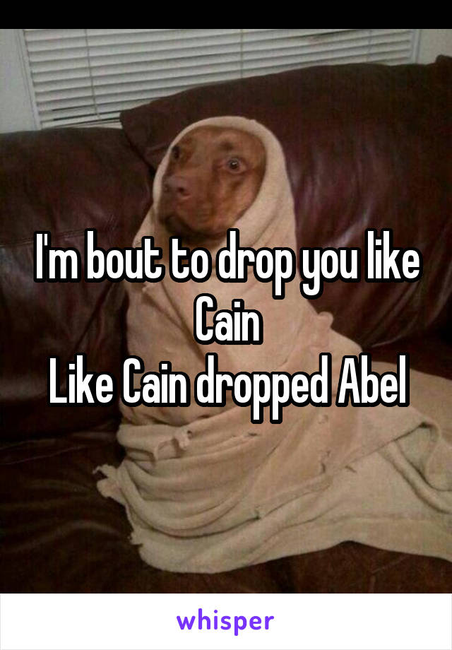 I'm bout to drop you like Cain
Like Cain dropped Abel