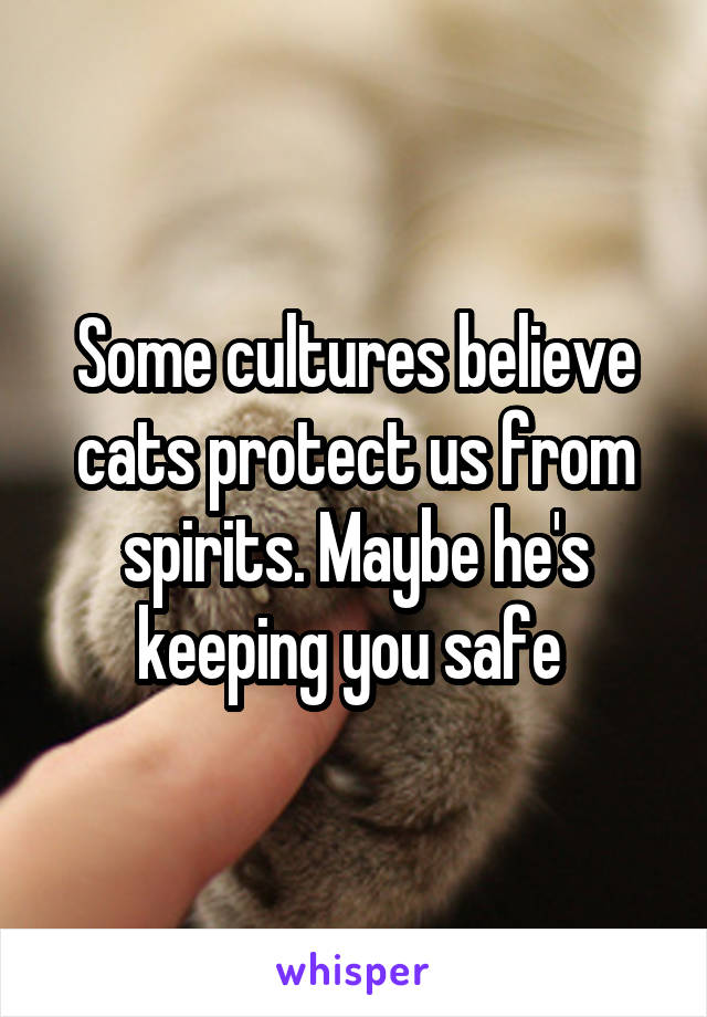Some cultures believe cats protect us from spirits. Maybe he's keeping you safe 