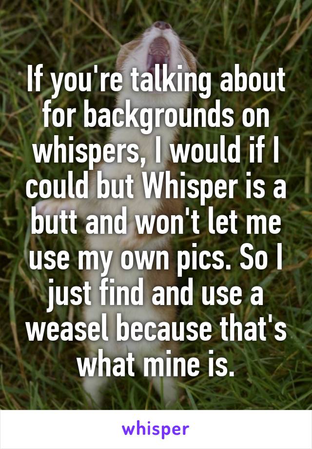 If you're talking about for backgrounds on whispers, I would if I could but Whisper is a butt and won't let me use my own pics. So I just find and use a weasel because that's what mine is.