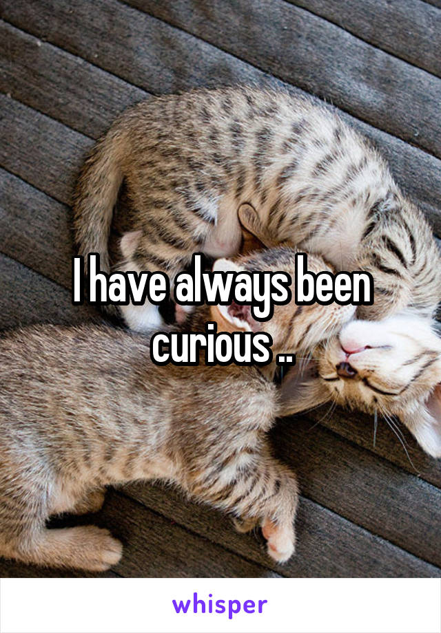I have always been curious ..
