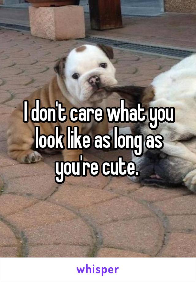 I don't care what you look like as long as you're cute. 