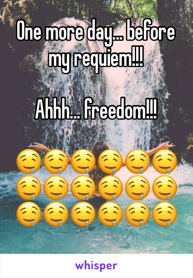 One more day... before my requiem!!!

Ahhh... freedom!!!

🤤🤤🤤🤤🤤🤤
🤤🤤🤤🤤🤤🤤
🤤🤤🤤🤤🤤🤤
