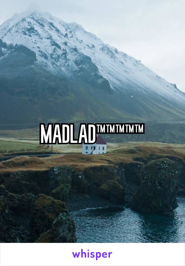 MADLAD™™™™™
