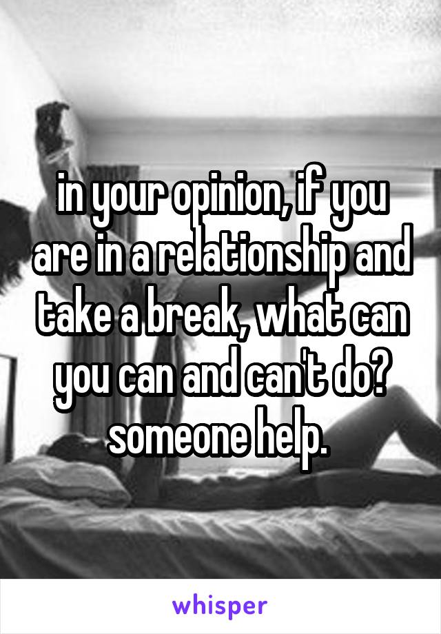 in your opinion, if you are in a relationship and take a break, what can you can and can't do? someone help. 