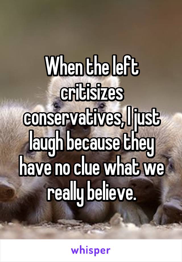 When the left critisizes conservatives, I just laugh because they have no clue what we really believe.