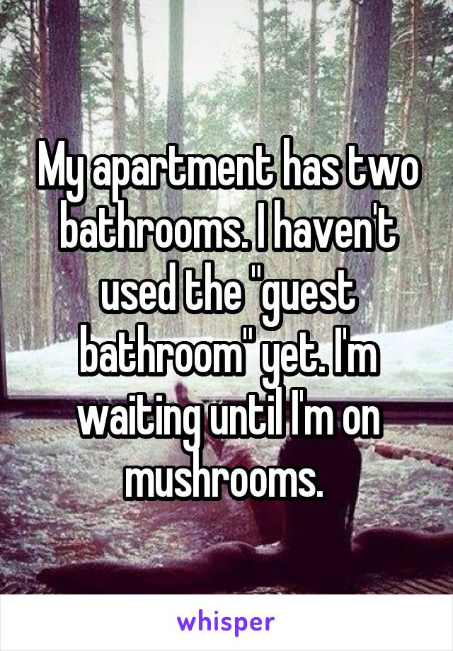 My apartment has two bathrooms. I haven't used the "guest bathroom" yet. I'm waiting until I'm on mushrooms. 