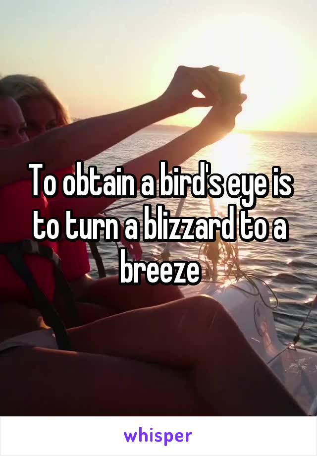 To obtain a bird's eye is to turn a blizzard to a breeze