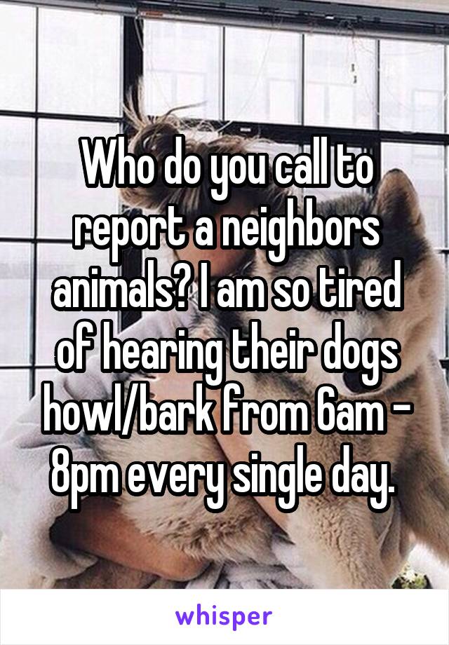 Who do you call to report a neighbors animals? I am so tired of hearing their dogs howl/bark from 6am - 8pm every single day. 